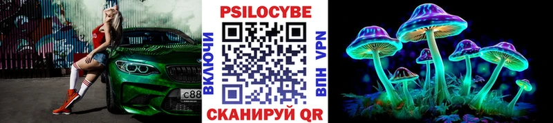 закладка  Тейково  Галлюциногенные грибы GOLDEN TEACHER 