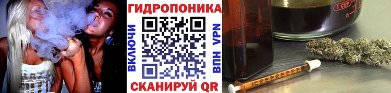 Бошки Шишки конопля Тейково